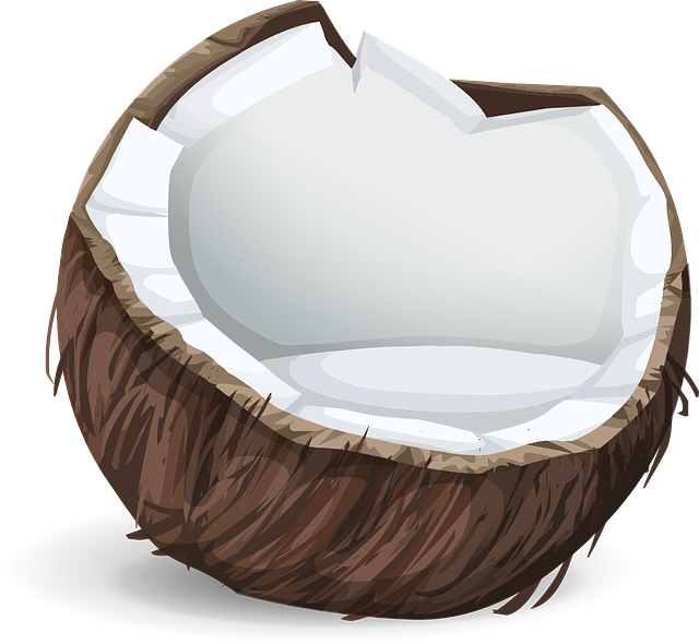 el dibujo de un coco